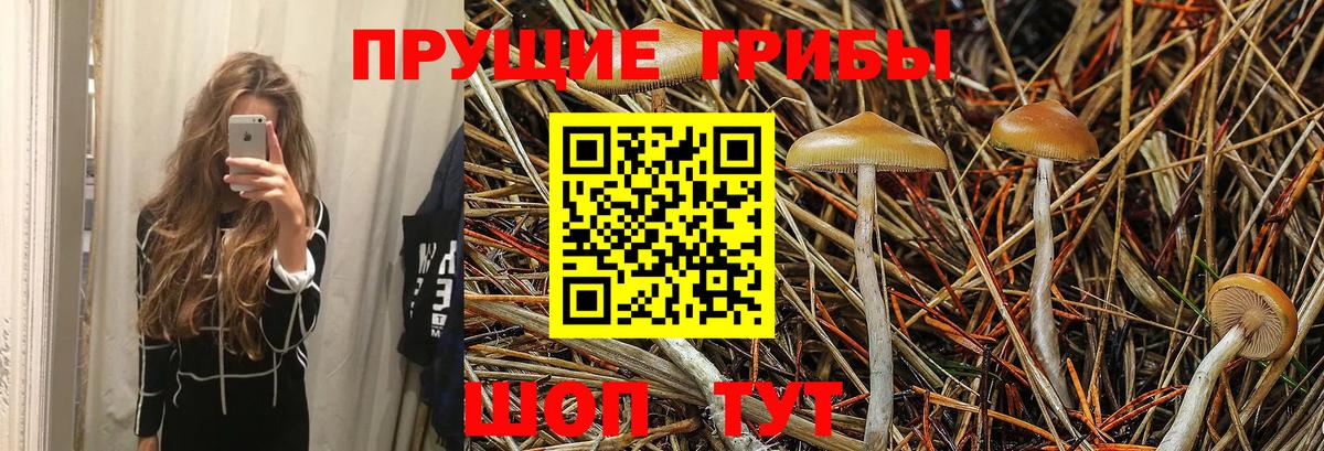 Галлюциногенные грибы MAGIC MUSHROOMS Одинцово