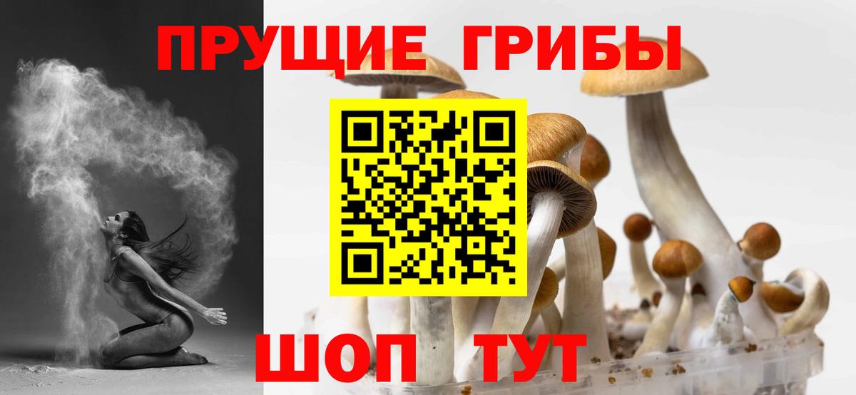 Одинцово  Галлюциногенные грибы Psilocybine cubensis  Галлюциногенные грибы MAGIC MUSHROOMS  купить   Вход с VPN 